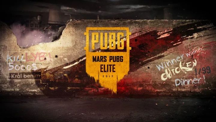 财务战略 财务战略